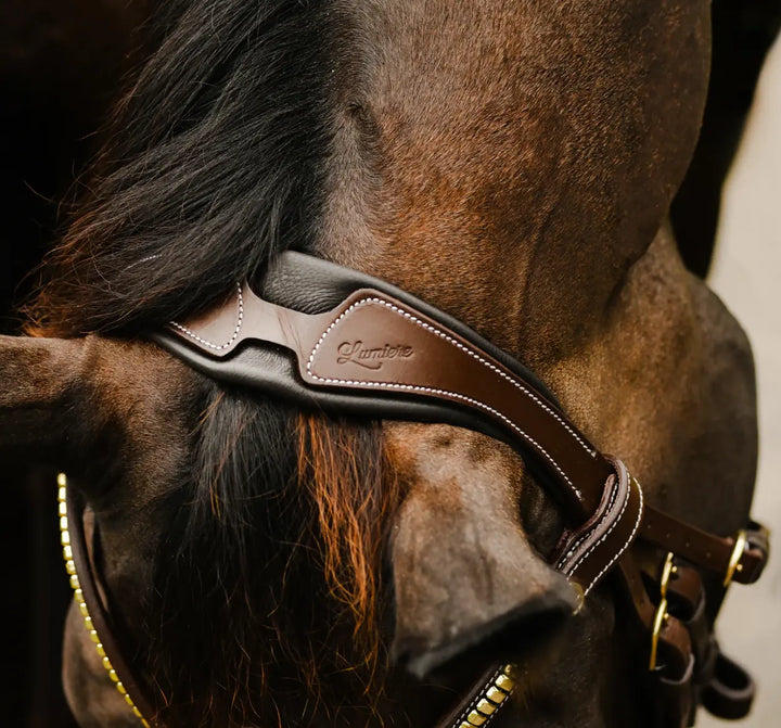 Lumiere Dallas Multi Jump Bridle