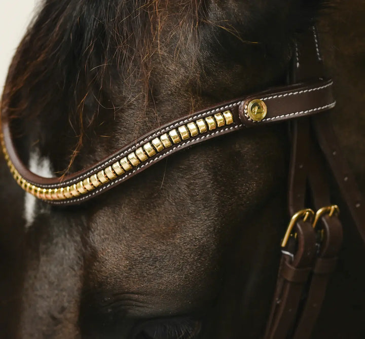 Lumiere Dallas Multi Jump Bridle