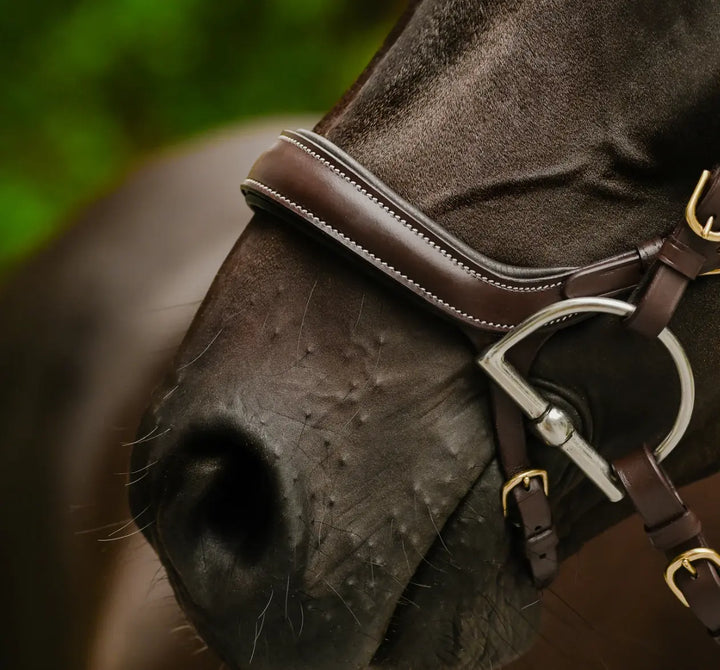 Lumiere Dallas Multi Jump Bridle