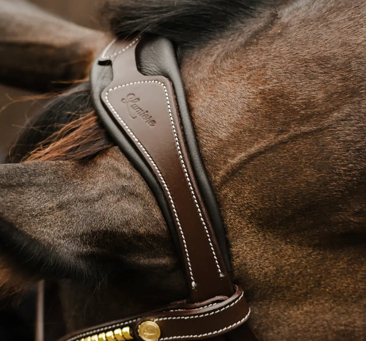 Lumiere Dallas Multi Jump Bridle