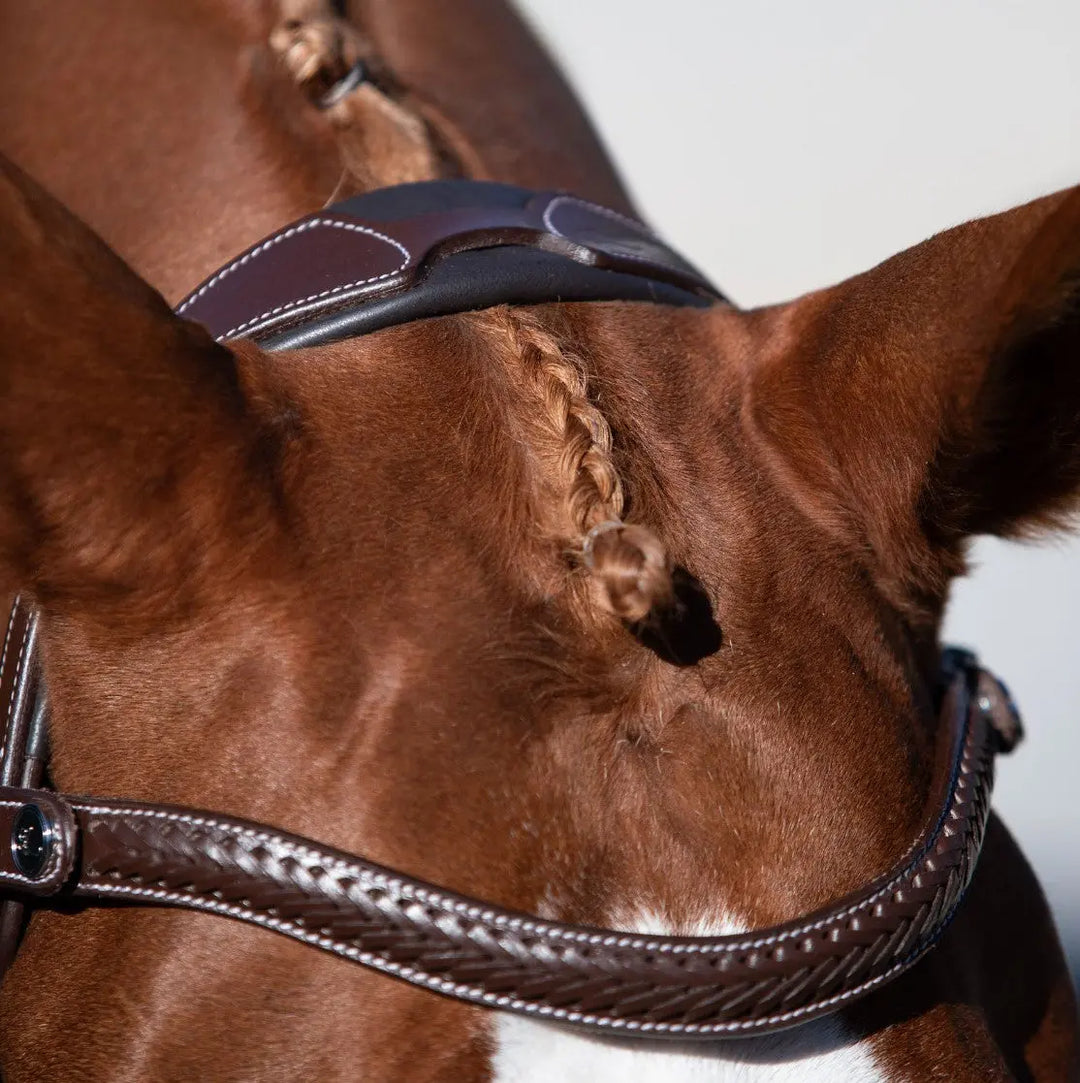 Lumiere Delaney Bridle - lifestyle