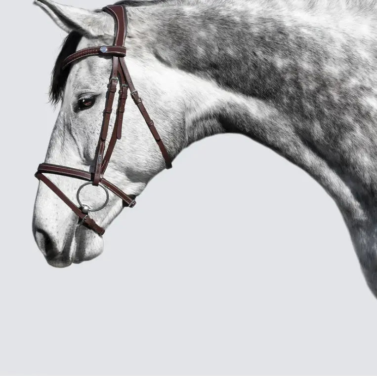 Lumiere Delaney Hunter Bridle with braided browband