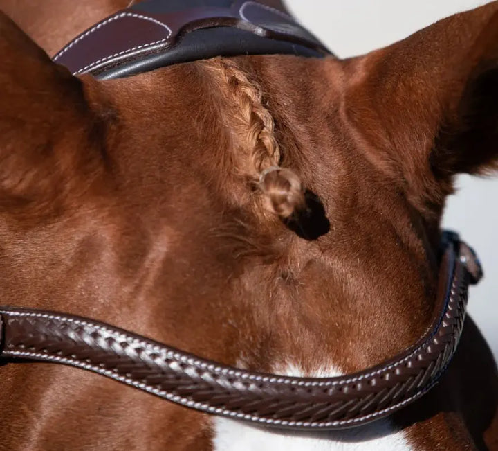 Lumiere Delaney Hunter Bridle with braided browband