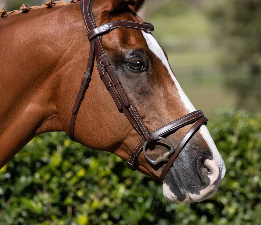 Lumiere Delaney Hunter Bridle with braided browband