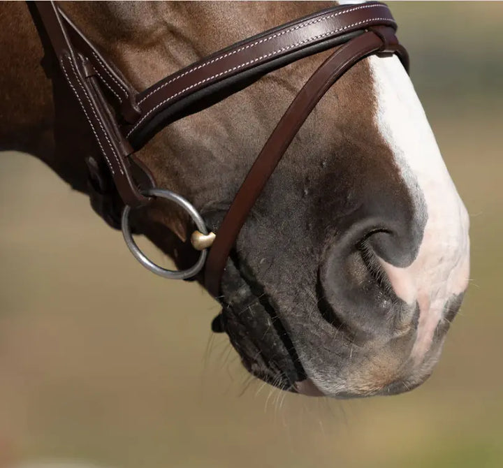 Lumiere Delaney Hunter Bridle with braided browband