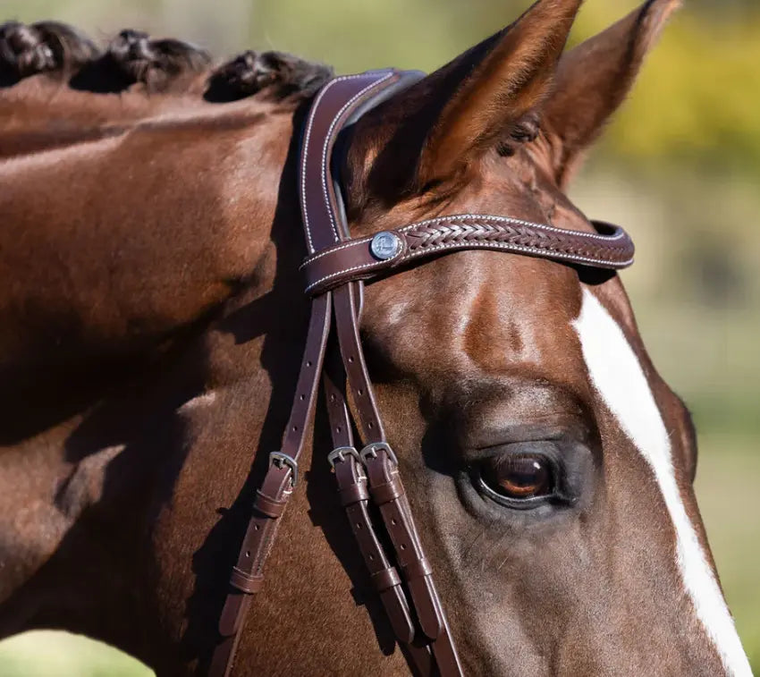 Lumiere Delaney Hunter Bridle with braided browband