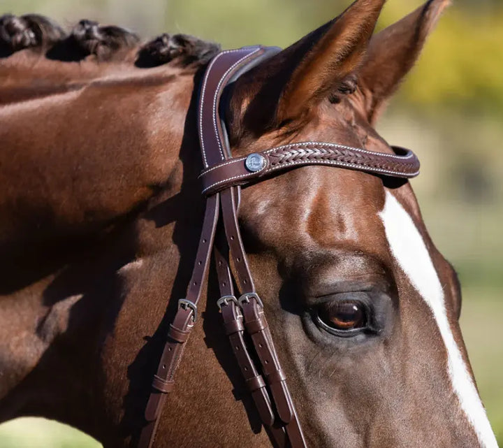 Lumiere Delaney Hunter Bridle with braided browband
