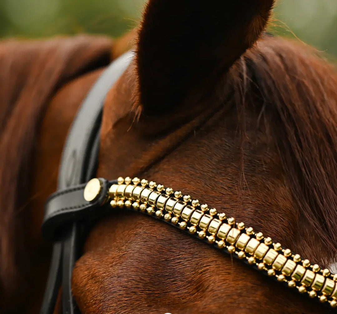 Lumiere Delta Gold Clincher Style Snap Browband Lumiere