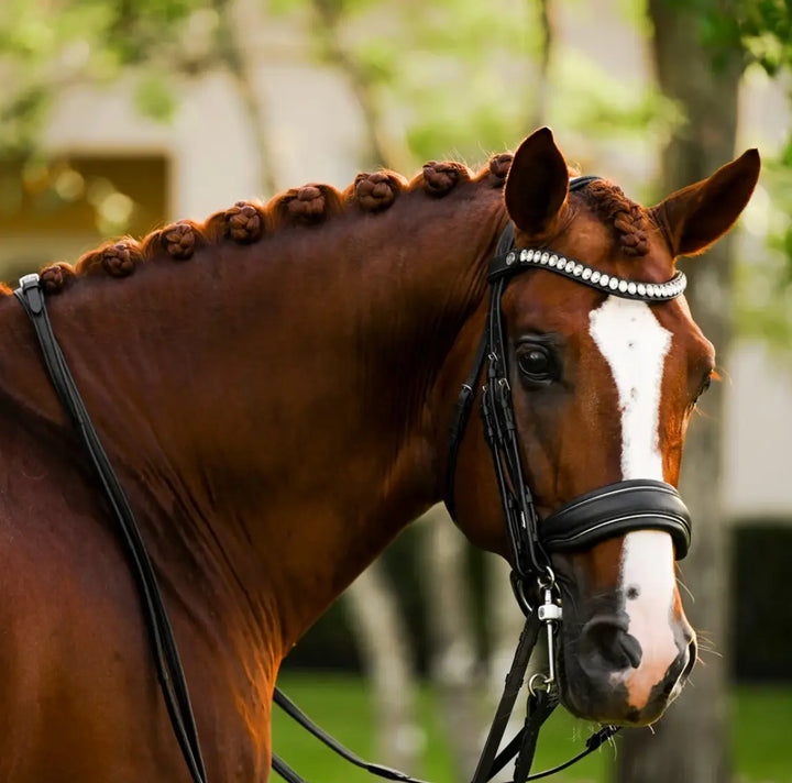 Lumiere Diva Double Dressage Bridle