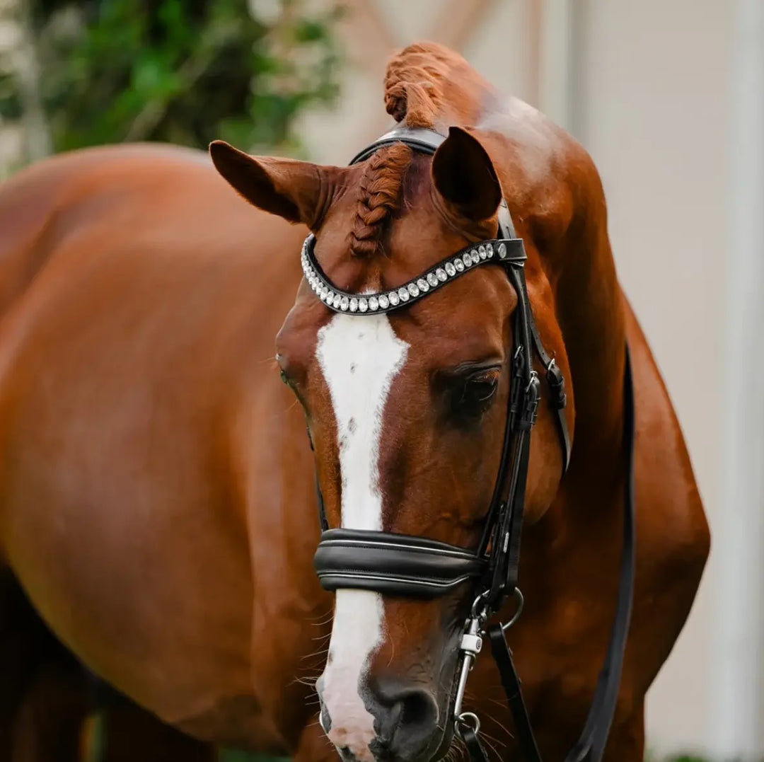 Lumiere Diva Double Dressage Bridle