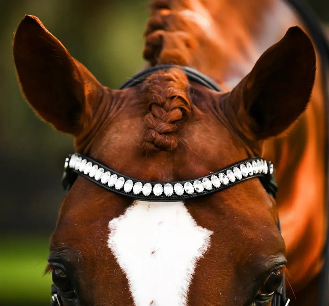 Lumiere Diva Double Dressage Bridle