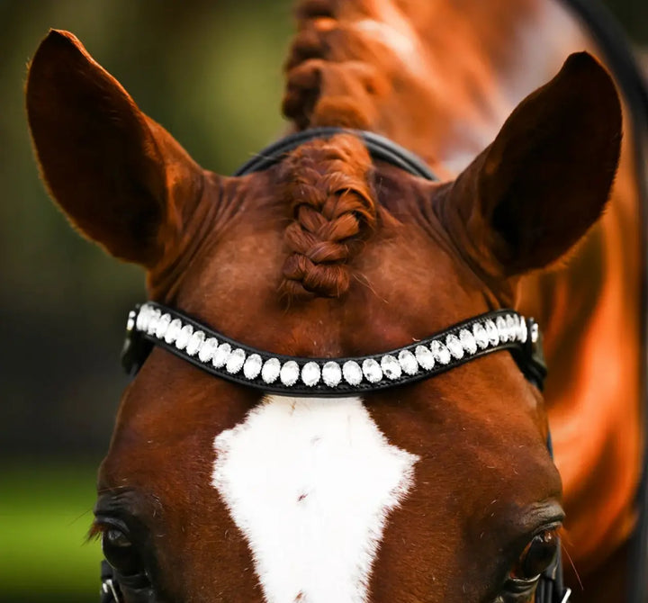 Lumiere Diva Double Dressage Bridle