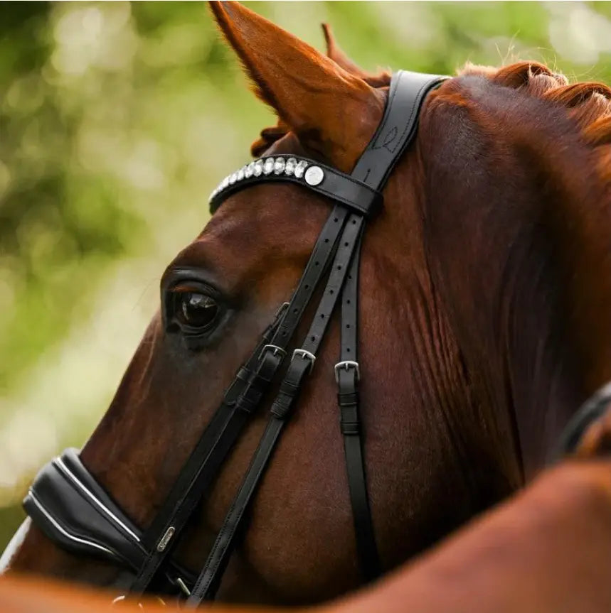 Lumiere Diva Double Dressage Bridle
