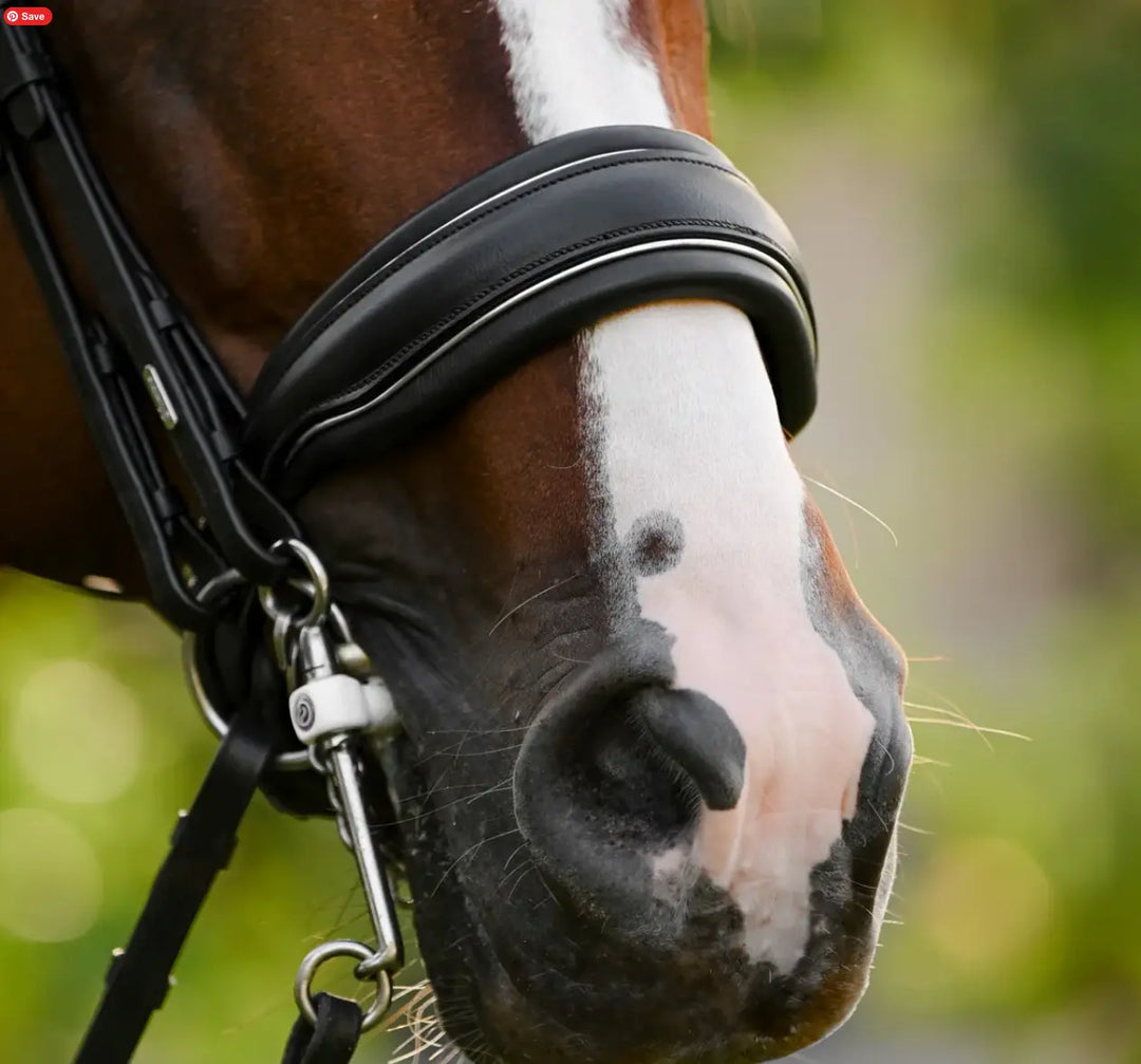 Lumiere Diva Double Dressage Bridle