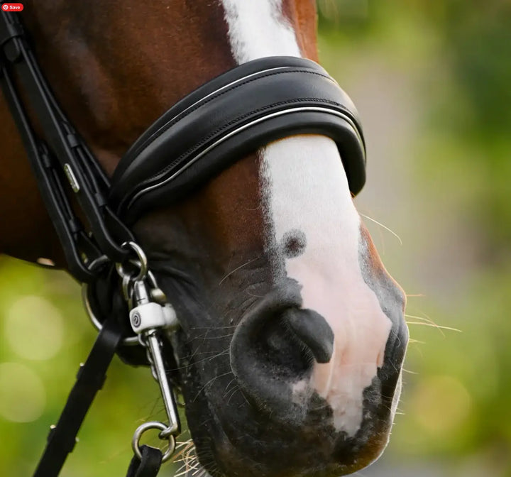 Lumiere Diva Double Dressage Bridle