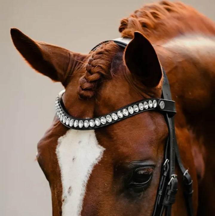 Lumiere Diva Double Dressage Bridle