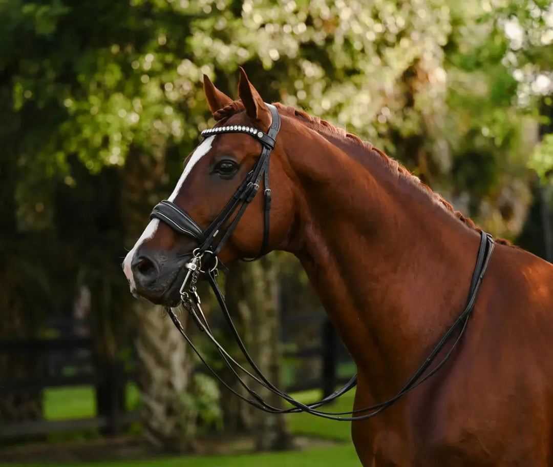 Lumiere Diva Double Dressage Bridle