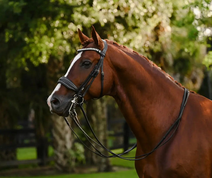 Lumiere Diva Double Dressage Bridle
