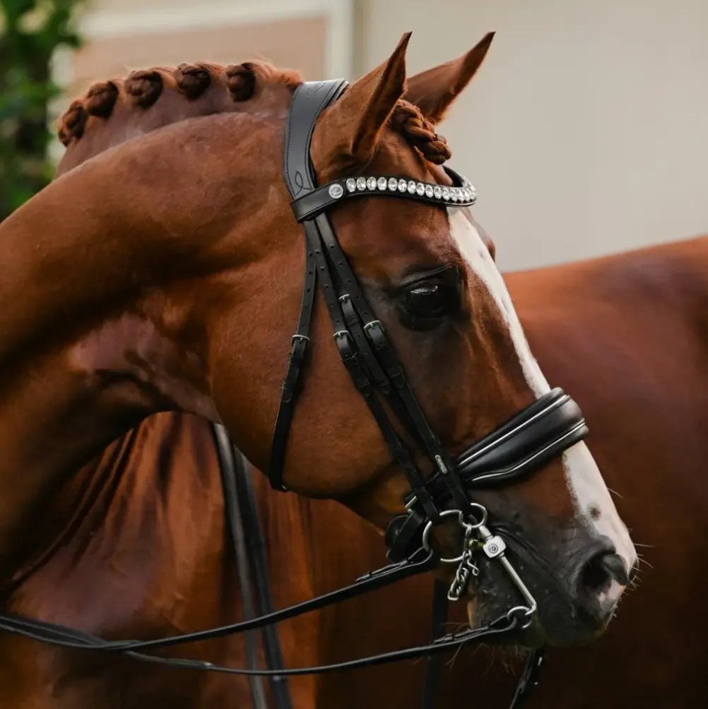 Lumiere Diva Double Dressage Bridle