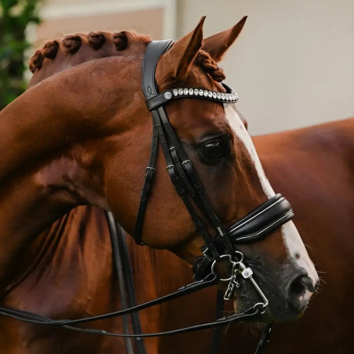 Lumiere Diva Double Dressage Bridle