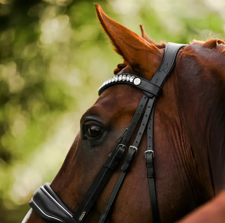 Lumiere Diva Oblong Oval Clear Crystal Snap Browband Lumiere