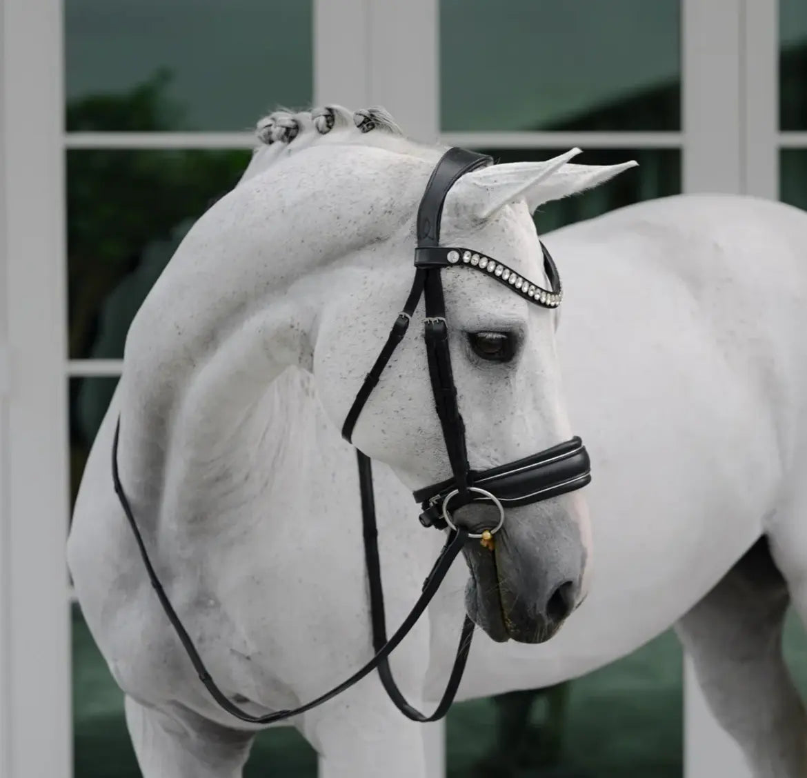 Lumiere Diva Snaffle Dressage Bridle Lumiere