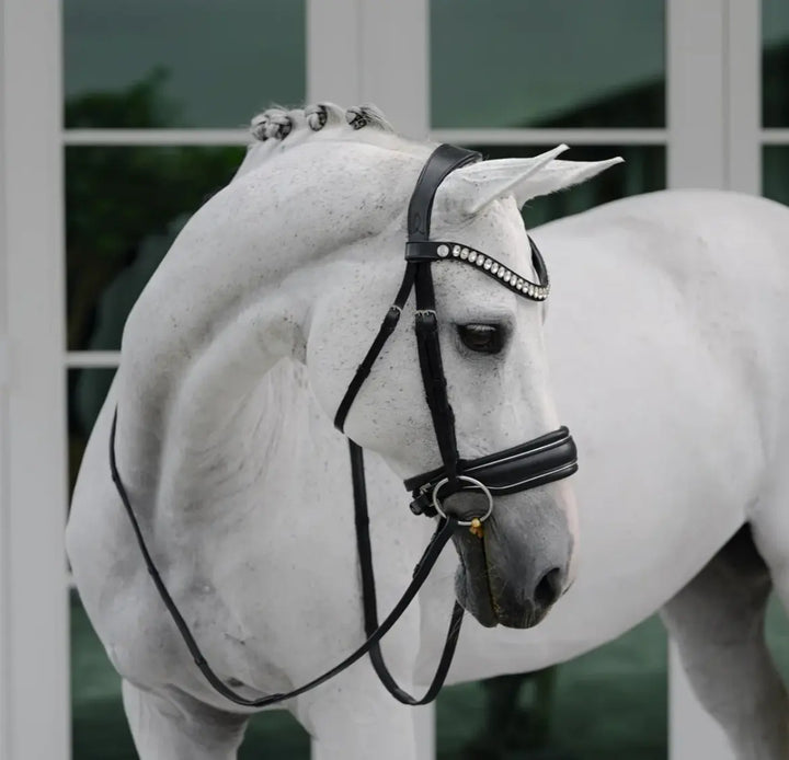 Lumiere Diva Snaffle Dressage Bridle Lumiere