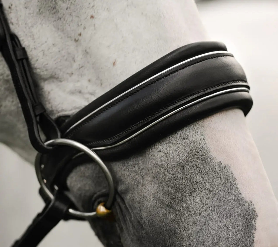 Lumiere Diva Snaffle Dressage Bridle