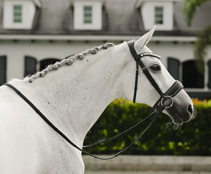 Lumiere Diva Snaffle Dressage Bridle