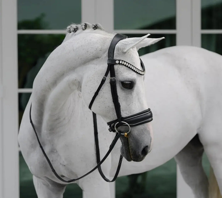 Lumiere Diva Snaffle Dressage Bridle