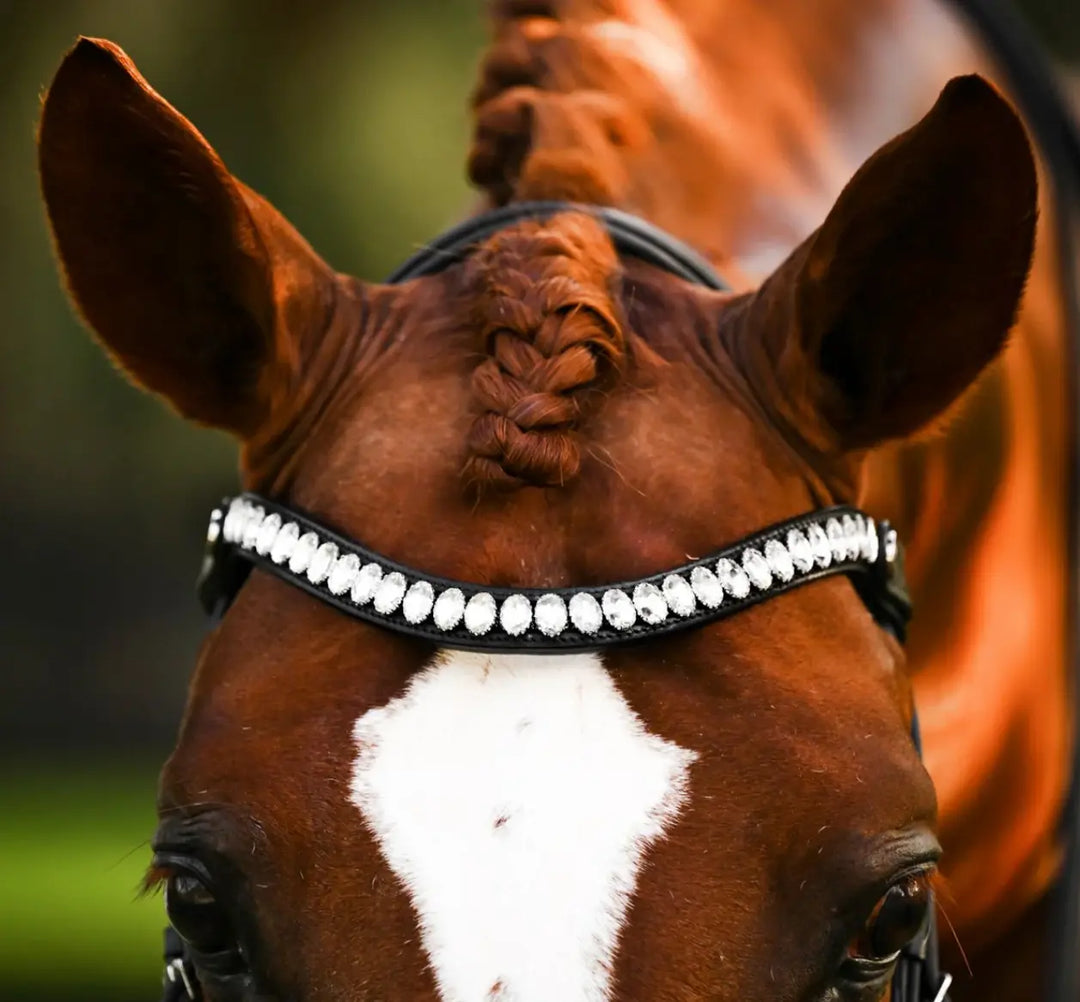 Lumiere Diva Snaffle Dressage Bridle