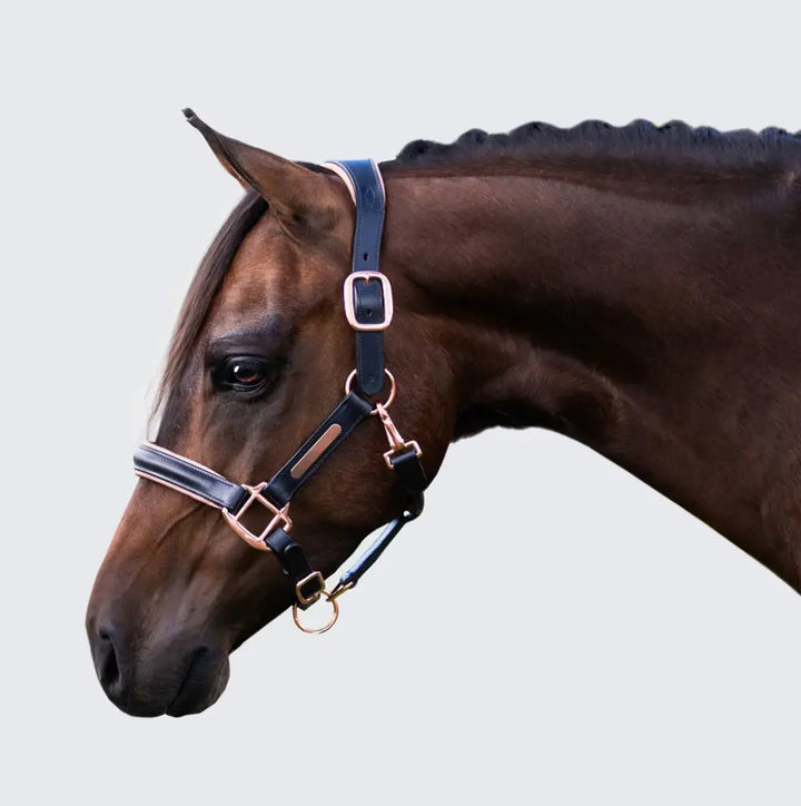 Lumiere Hollywood Black &amp; Rosegold Leather Halter Lumiere