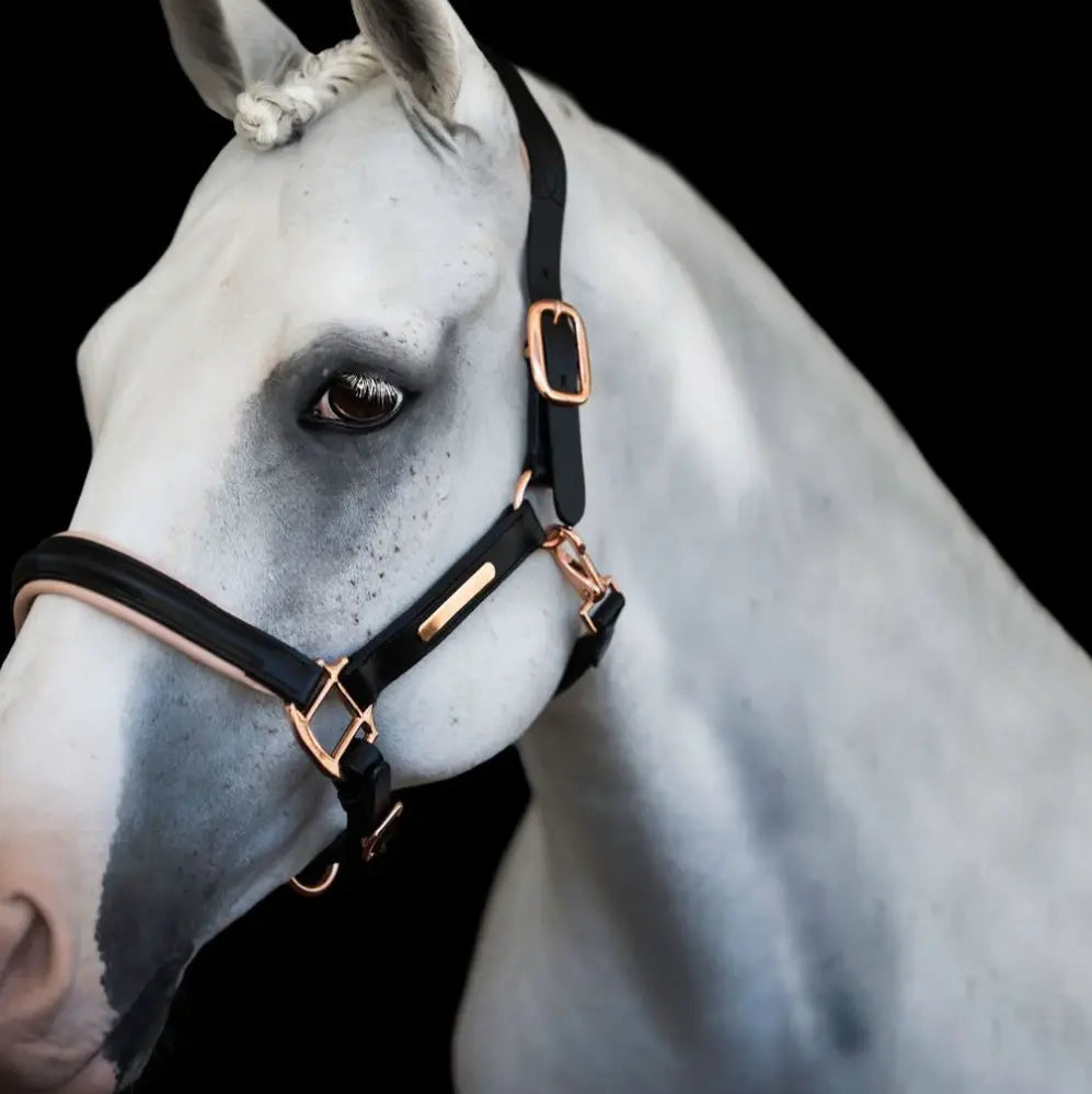 Lumiere Hollywood Black &amp; Rosegold Leather Halter Lumiere