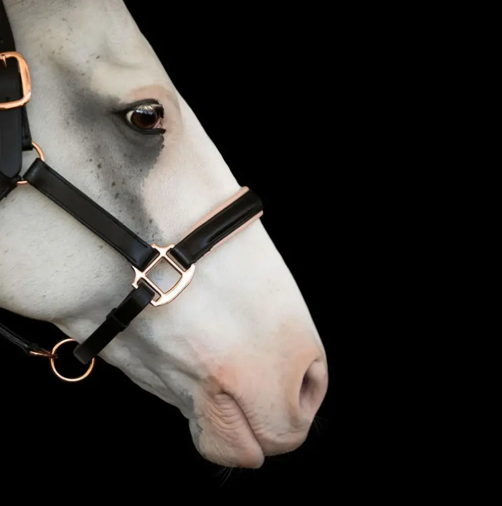 Lumiere Hollywood Black &amp; Rosegold Leather Halter Lumiere