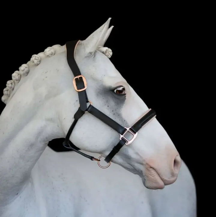 Lumiere Hollywood Black &amp; Rosegold Leather Halter Lumiere