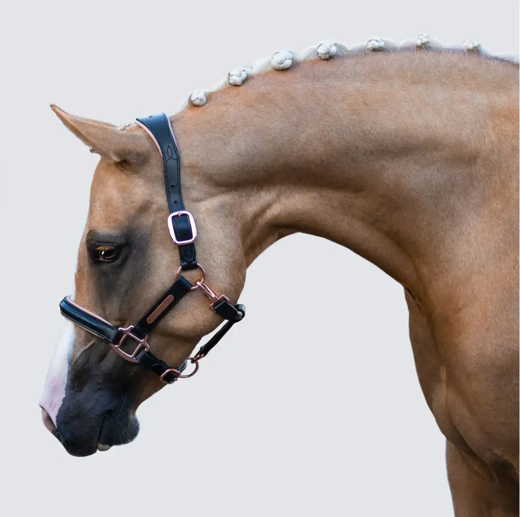Lumiere Hollywood Black &amp; Rosegold Leather Halter Lumiere