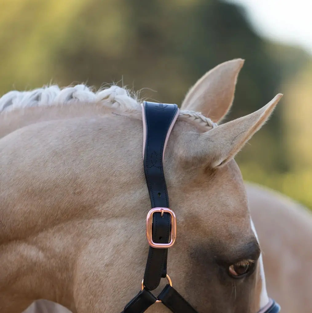 Lumiere Hollywood Black &amp; Rosegold Leather Halter Lumiere