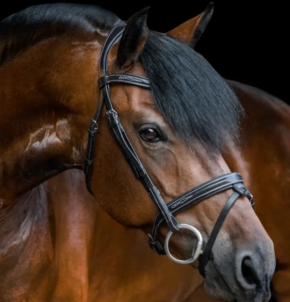 Lumiere Milan Convertible Hunter|Jump Bridle Lumiere