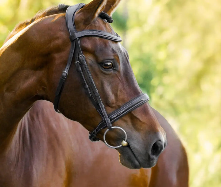 Lumiere Milan Convertible Hunter|Jump Bridle