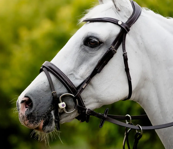 Lumiere Milan Convertible Hunter|Jump Bridle