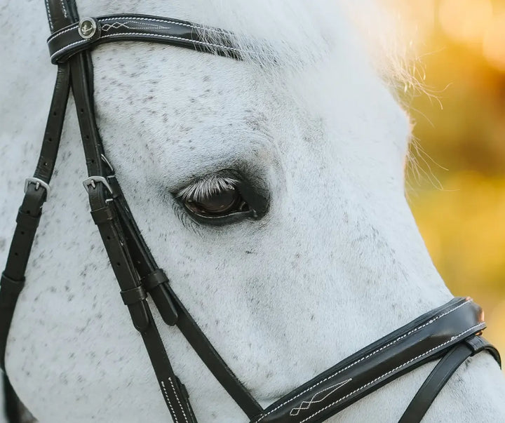Lumiere Milan Convertible Hunter|Jump Bridle