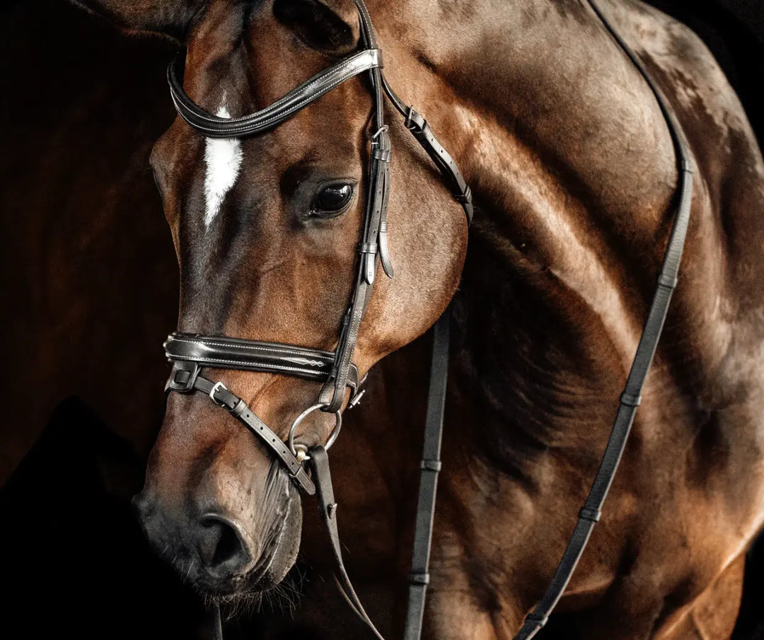 Lumiere Milan Convertible Hunter|Jump Bridle