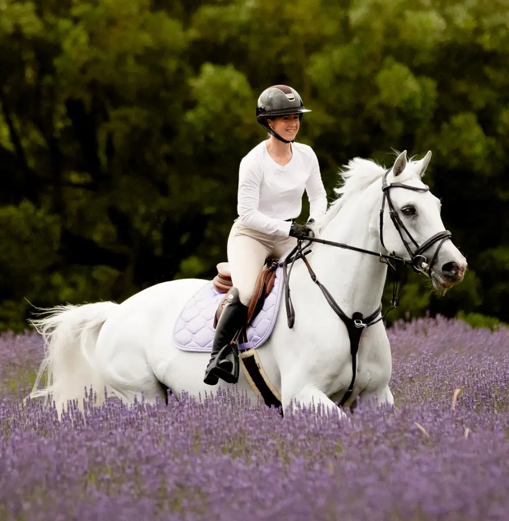 Lumiere Milan Convertible Hunter|Jump Bridle