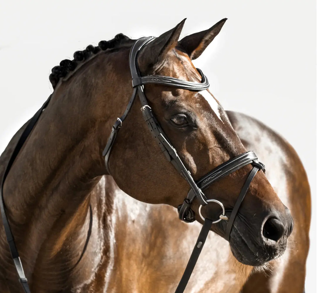 Lumiere Milan Convertible Hunter|Jump Bridle