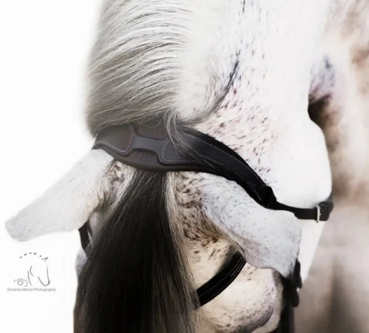 Lumiere Milan Convertible Hunter|Jump Bridle