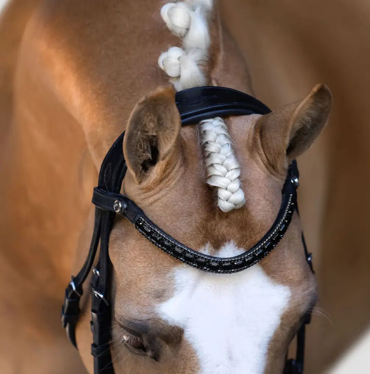 Lumiere Onyx Crystal Browband Lumiere