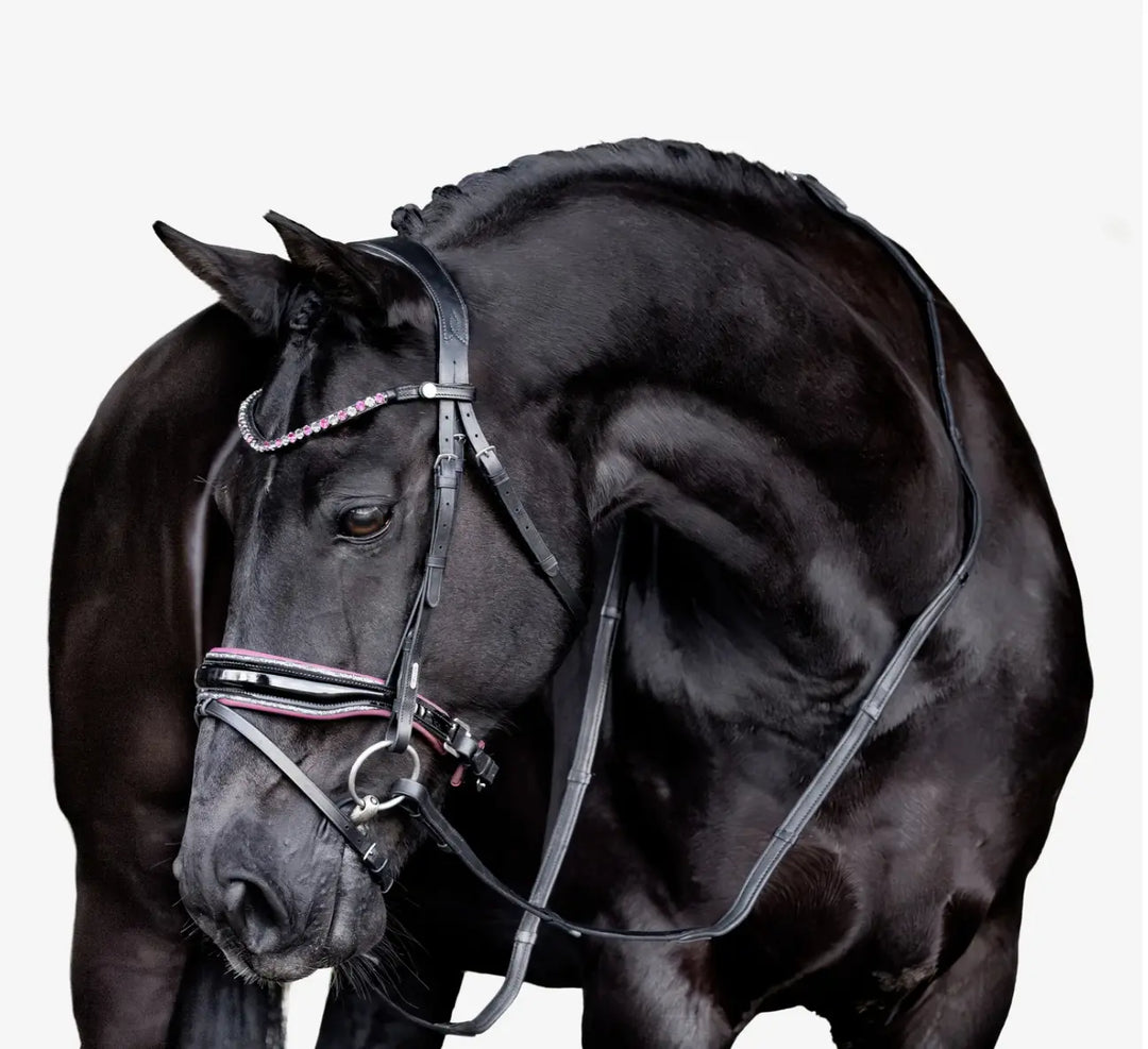 Lumiere Paloma Snaffle Bridle with removable flash