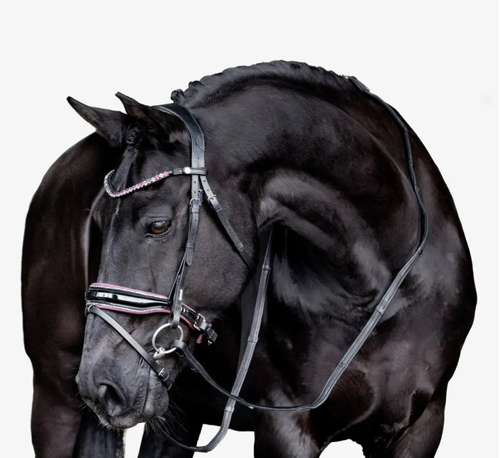 Lumiere Paloma Snaffle Bridle with removable flash