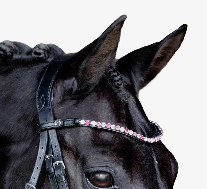 Lumiere Paloma Snaffle Bridle with removable flash