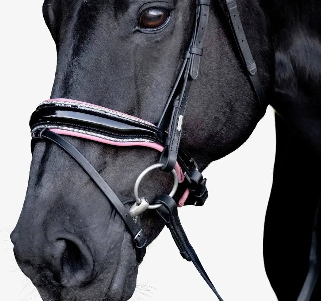 Lumiere Paloma Snaffle Bridle with removable flash
